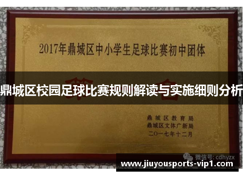 鼎城区校园足球比赛规则解读与实施细则分析